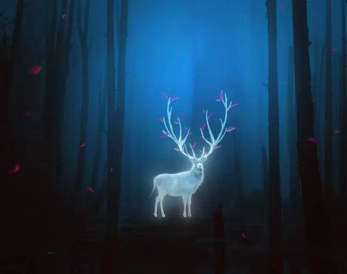 آموزش طراحی گوزن درخشان در فتوشاپ